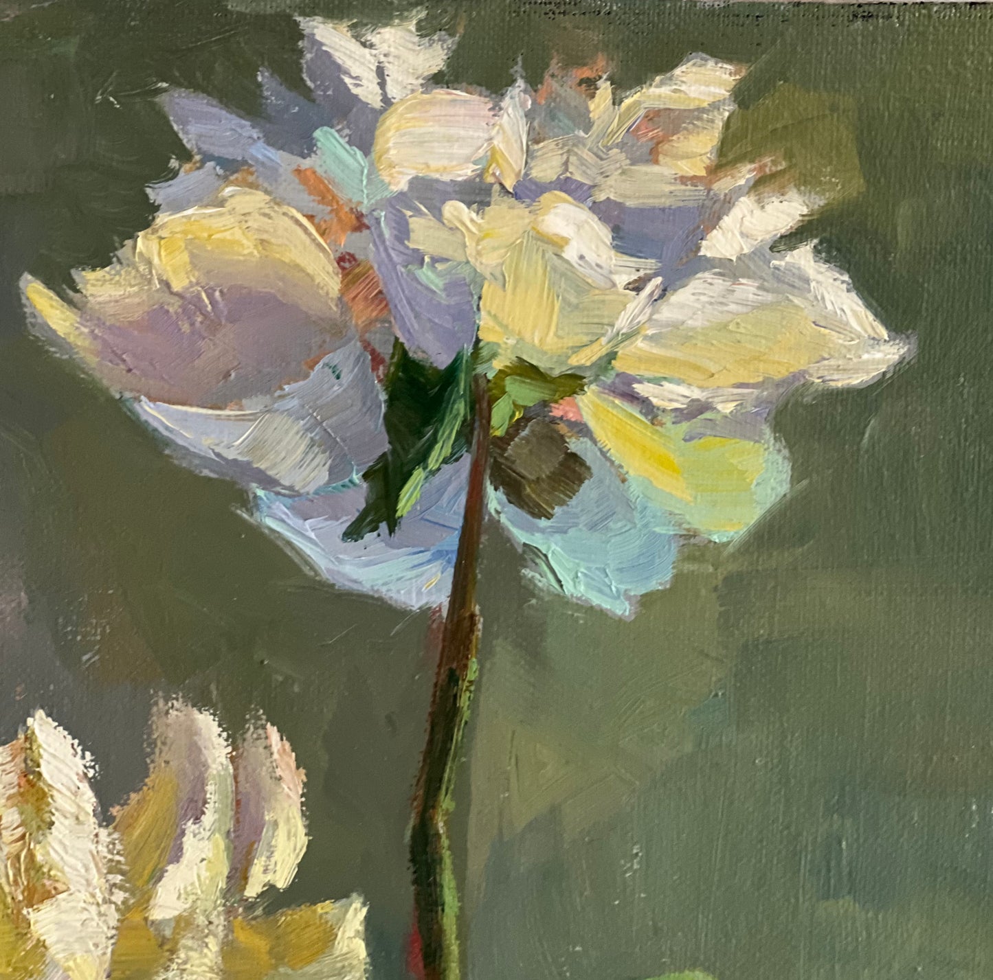 White and pink peonies - Original Oil Painting of Flowers