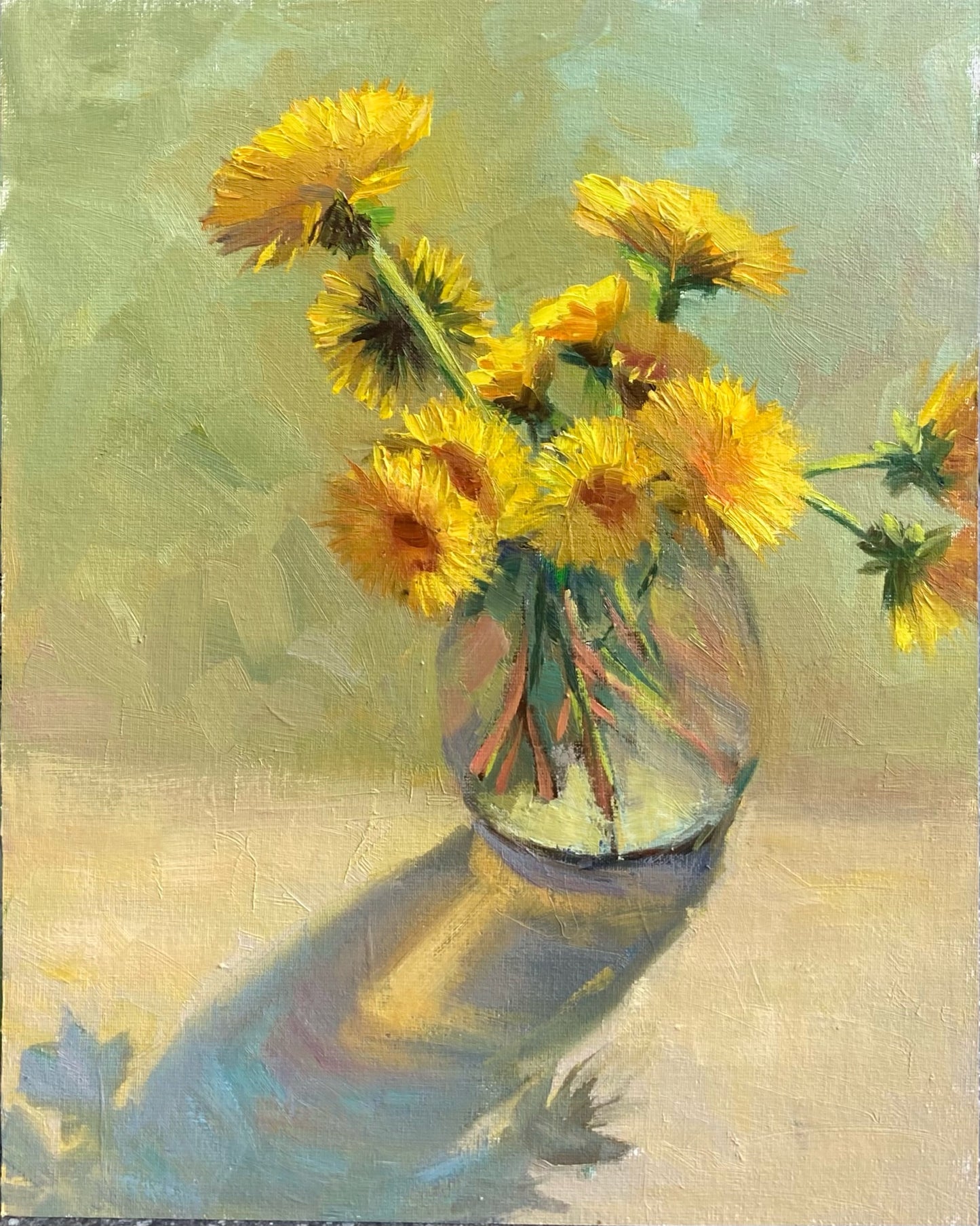 Dandelions under the evening sun!