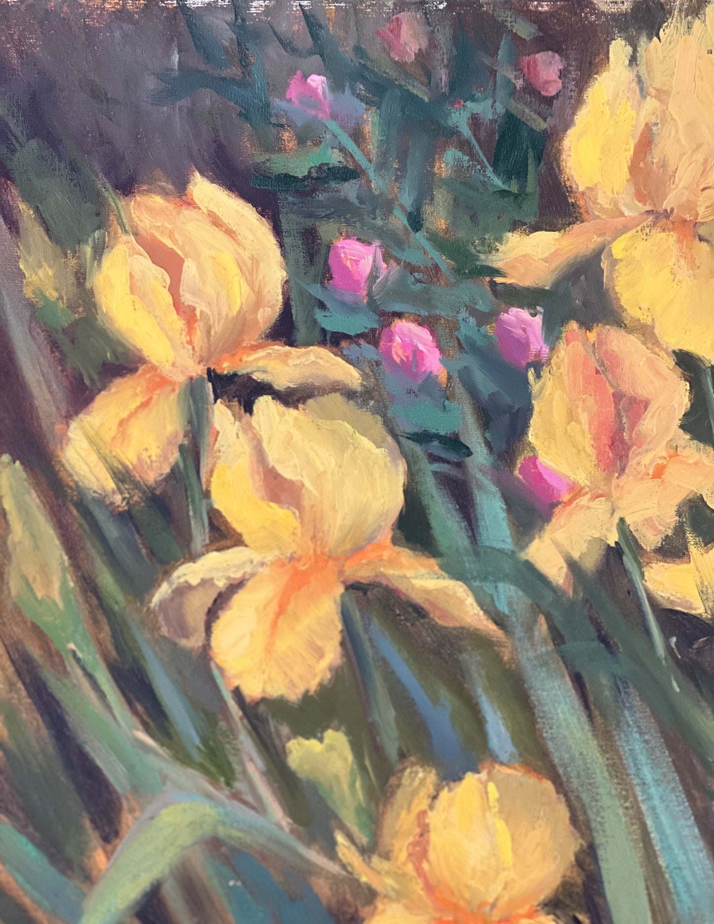 Large Floral Oil Painting - Irises in my garden!