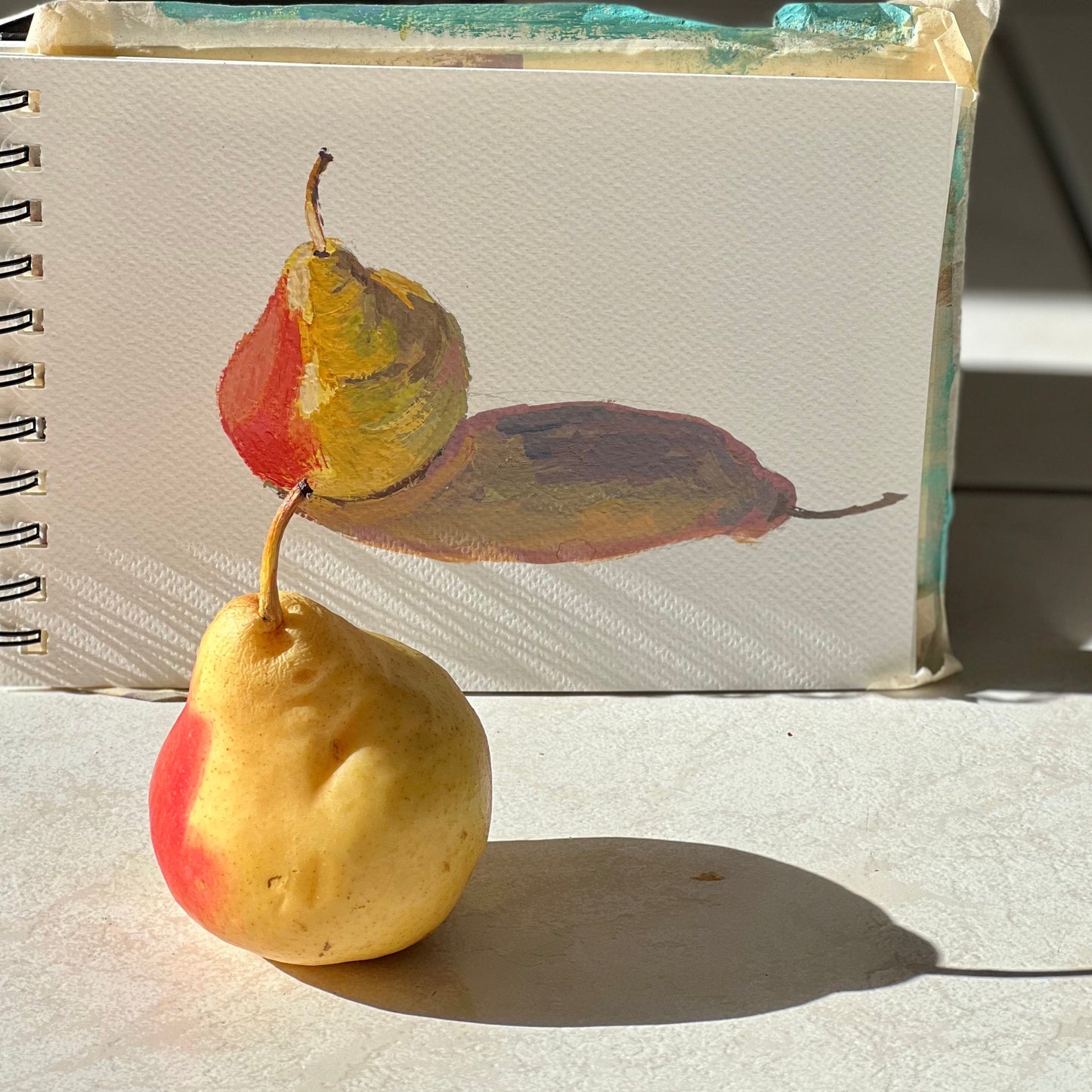 Gouache Painting - Solo Pear under the evening sun