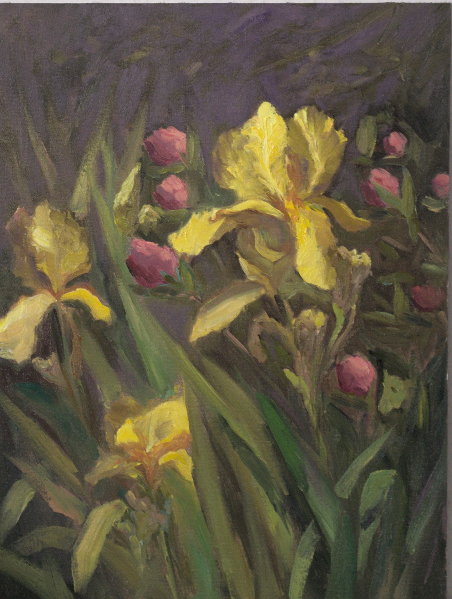 Irises and Peony buds - Oil Painting, 12 by 16 inches