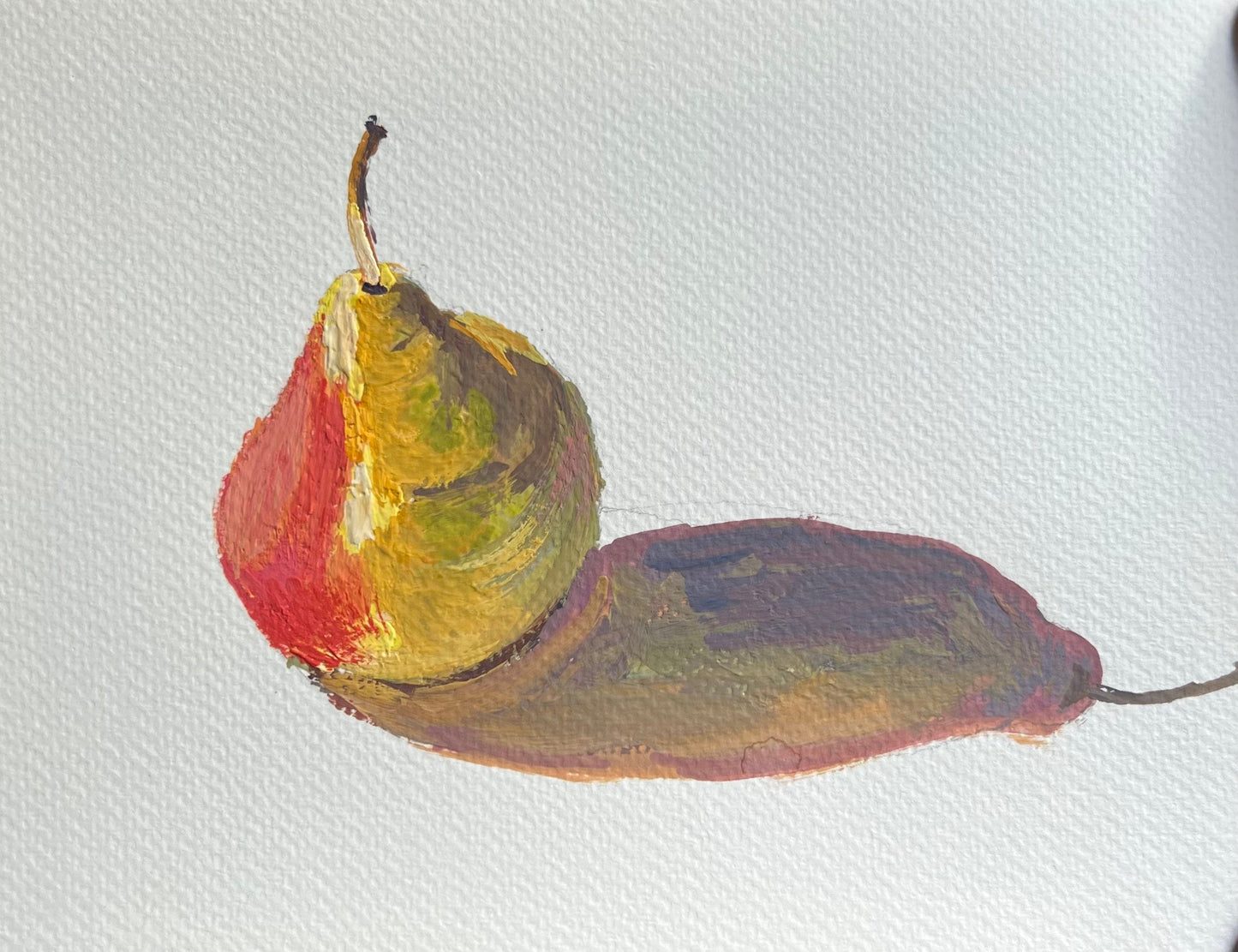 Gouache Painting - Solo Pear under the evening sun