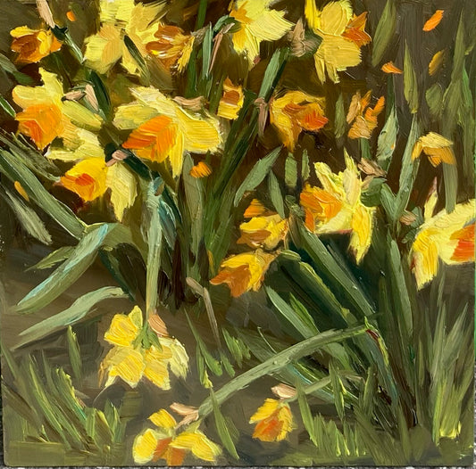 Daffodil meadow - small oil painting