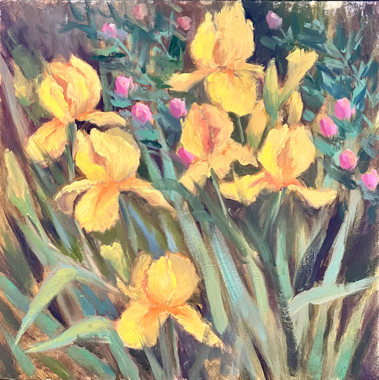 Large Floral Oil Painting - Irises in my garden!